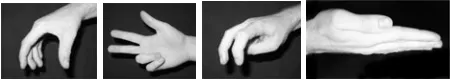 Figure 1: ASL handshapes: Spread C (bulky object), Number 3 (vehicle), Hooked V (animal), Flat (surface)