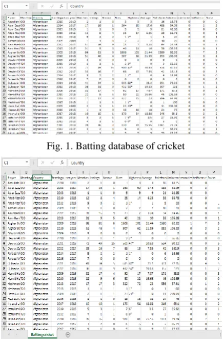 Fig. 1. Batting database of cricket 