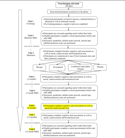 Fig. 1 Neuroimaging Protocol Flow Diagram