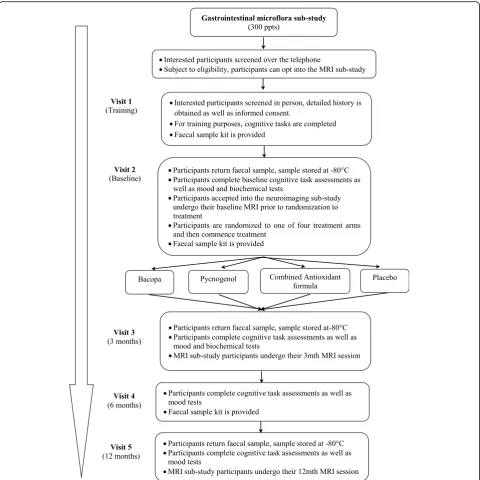 Fig. 2 Gastrointestinal Protocol Flow Diagram