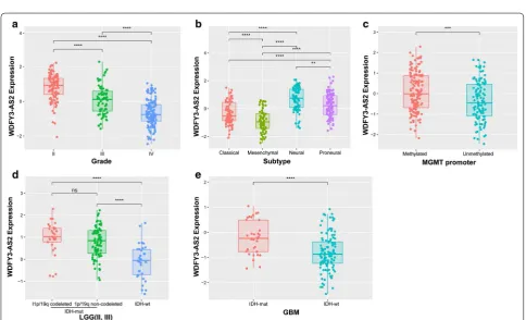 Fig. 2 Screening of prognosis and tumor progression-related antisense lncRNAs. a Venn diagram presents the workflow used to identify antisense lncRNAs associated with prognosis and tumor progression