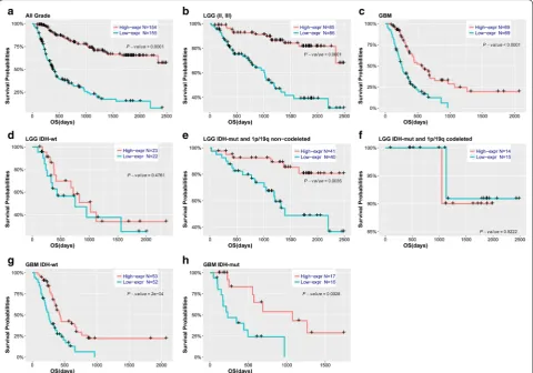 Fig. 5 Survival analysis in patients stratified by grade, IDH and 1p/19q status based on WDFY3-AS2 expression