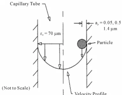 Figure 1. Graphic representation of the size exclusion prin- ciple for a particle flowing through a capillary tube
