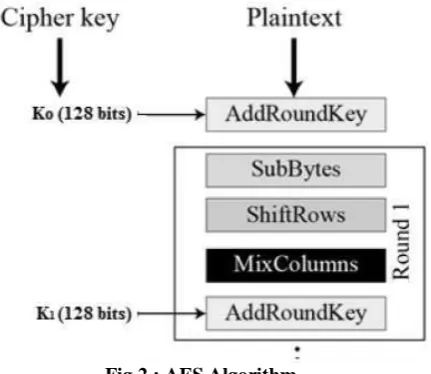 Fig 2 : AES Algorithm 