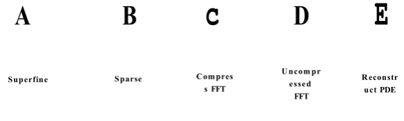Figure 6.1: The illustration of PDEs compression and reconstruction.