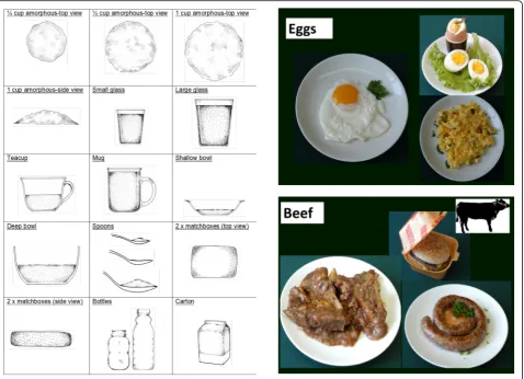 Fig. 1 Pictures and portion size props used from the Dietary Assessment and Education Kit [34]