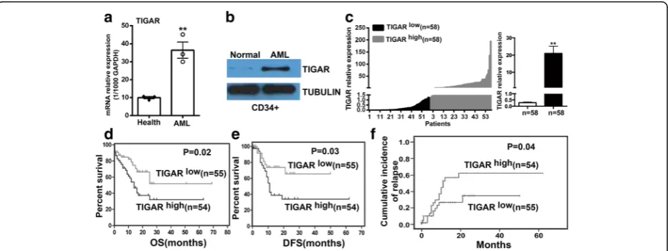 Fig. 1 TIGAR upregulation was associated with poor prognosis in AML patients. a Real-time PCR showed that TIGAR mRNA was significantlyupregulated in PB cells from three AML patients in comparison with three healthy donors