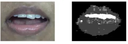 Fig. 5. Original image and mask created using Multiclass Beysian Classifier in b* Colour Component of La*b* space 