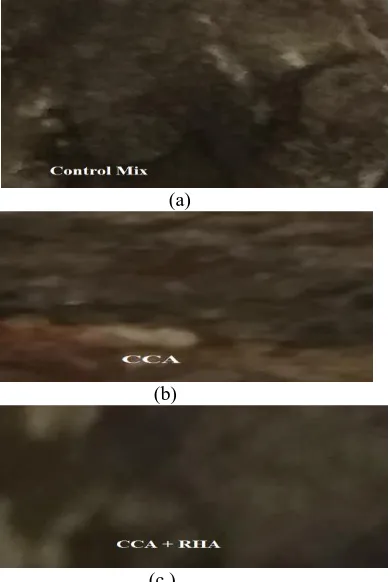 Fig 4: Free chloride in Control Mix (a), Corn Cob Ash (b) and Corn Cob – Rice Husk ash (c) Concrete