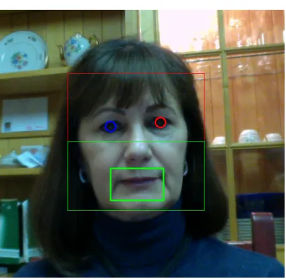 Fig. 1.Face, eyes, and lip detection in real time with annotatedface ROI of aspect ratio 1:1