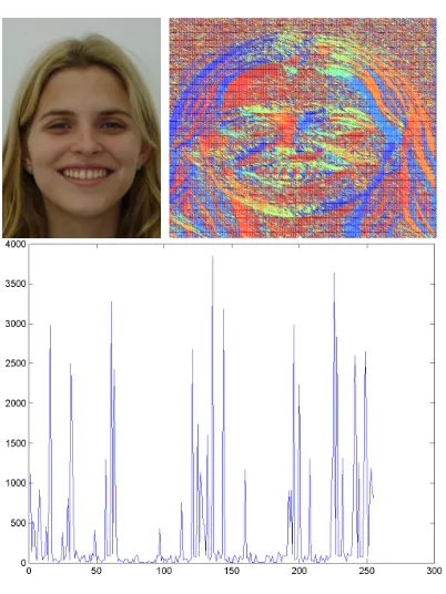 Fig. 2.Examples of data from the FEI database. The largerimage shows the 5 automatically detected regions of interest.