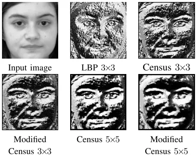 Fig. 2.Examples of image data from the FEI database.