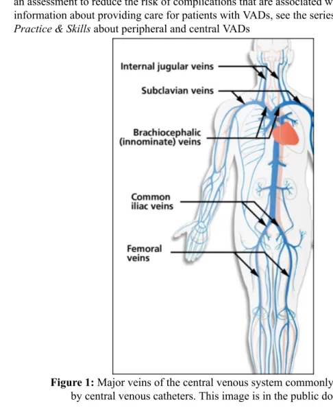 Figure 1: Major veins of the central venous system commonly accessed by central venous catheters