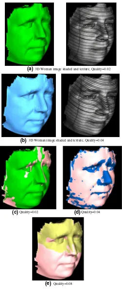 Fig. 11 a and b 3Ddecompressed womanimage with different qualityvalues. c, d ande Differences betweenoriginal 3D woman imageand decompressed 3Dwoman image according toquality parameters