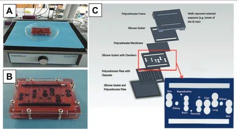 Figure 1. Overview of a 10-chamber in vitro model. Overview of our 10-chamber in vitro model based on a simplifi ed three-chamber system using gravity-driven fl ow [12]