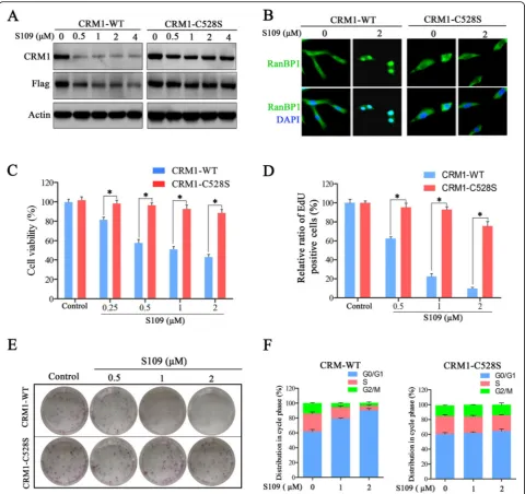 Fig. 5 Mutation of CRM1 abolishes the anti-proliferative activity of S109 in glioma cells.mutant CRM1 were cultured in media with vehicle or S109 (2cence microscopy.CCK-8 assays.assay