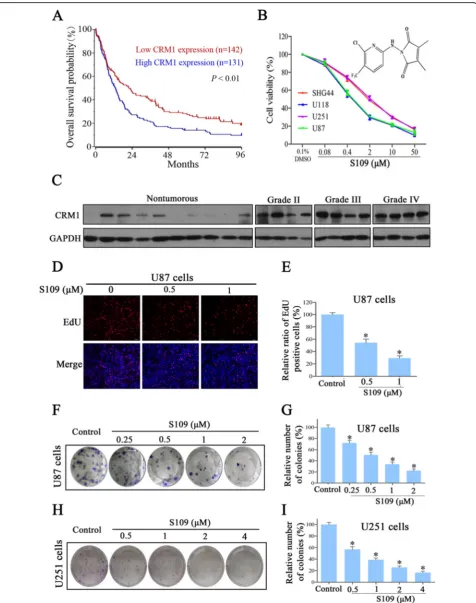Fig. 1 (See legend on next page.)