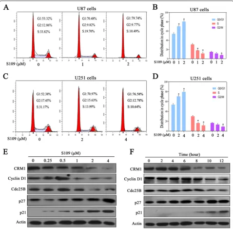 Fig. 2 S109 induces cell-cycle arrest and regulates the expression of cell cycle-related proteins in glioma cells.with 2 a, c U87 and U251 cells weretreated with S109 for 12 h