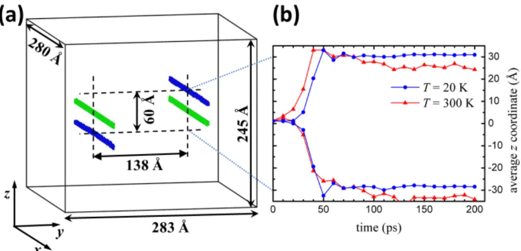 Figure 1: (colour online) (a) Simulation configuration used in this work. The initial posi- posi-tion of the atoms belonging to the dislocaposi-tions can be observed in green (light colour) while their equilibrium position after a thermalization at 20 K du