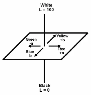 Figure 1. Hunter lab color system 
