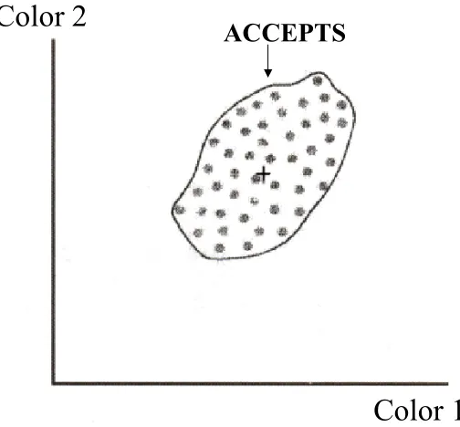 Figure 4. A bichromatic color map representing the distribution of color 1 versus color 2 