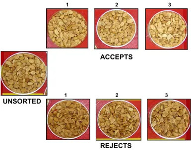 Figure 2.3.  A visual representation of the unsorted and color sorted accepts and rejects produced after color sorting of 2003 fruity fermented peanut lot