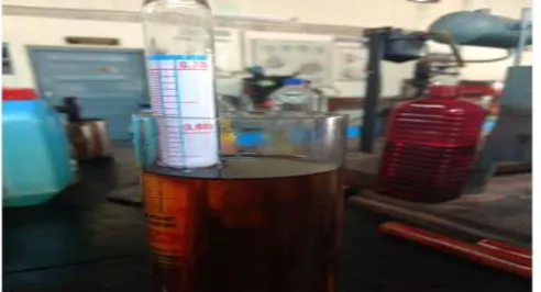 Figure 1: Sample of Oleander oil 