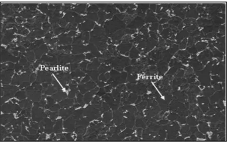 Fig. 2.3: SEM micrographs of the microstructure of 0.05%wt C steel  ferrite(dark) and pearlite(light) [4]