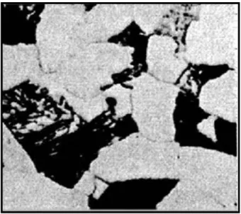 Fig. 2.4 Optical micrograph of 0.4% wt. Carbon steel in 1100X [5]. 