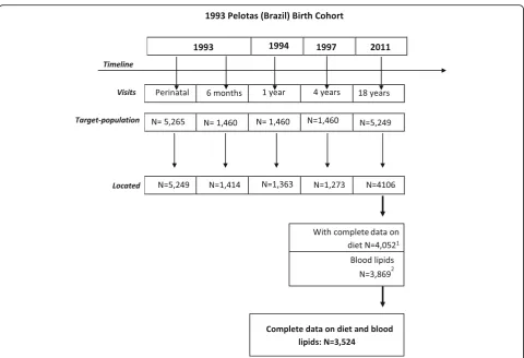Fig. 1 Description of the 1993 Pelotas (Brazil) Birth Cohort. 1Subjects excluded of diet data: did not complete the food frequencyquestionnaire (n = 22) and implausible energy report (n = 205)