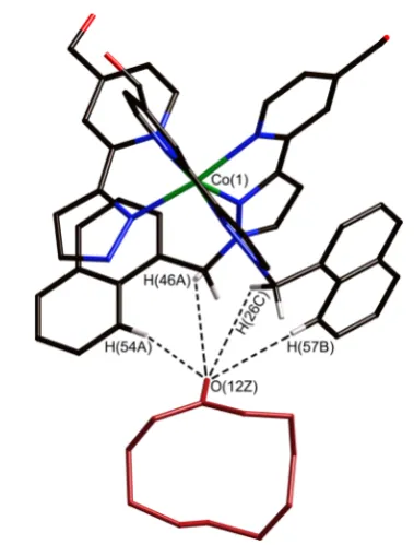 Figure 8. Slice through a space-ﬁlling model of the crystal structure of[Co8L12·(9)](BF4)16 illustrating the extent to which guest 9 ﬁlls thecavity of the host.