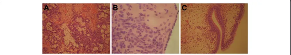 Figure 1 Positive control. A, S. epidermidis (red); B, S. aureus (green).