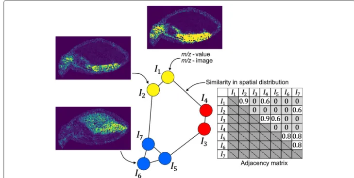 Fig. 1 Structure of the m/z-image similarity graph. Each node represents an m/z-image, each edge represents the similarity between the m/z-images it connects, requiring that this value is above a specific threshold
