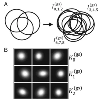 Fig. 2 a A sketch of how the groups of 2D - gaussians are located (left) and how they are distorted (right)