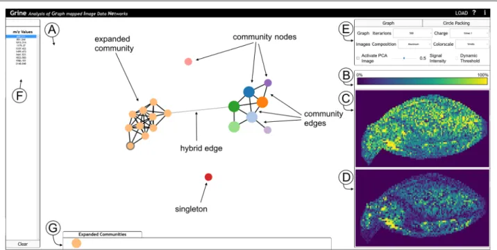 Fig. 3 GRINE UI with graph mode active and hierarchy mode (circle packing) inactive. One community of the whole community-graph G  , which is shown in (a), is expanded and the m/z-node of m/z-value 689.211 is selected