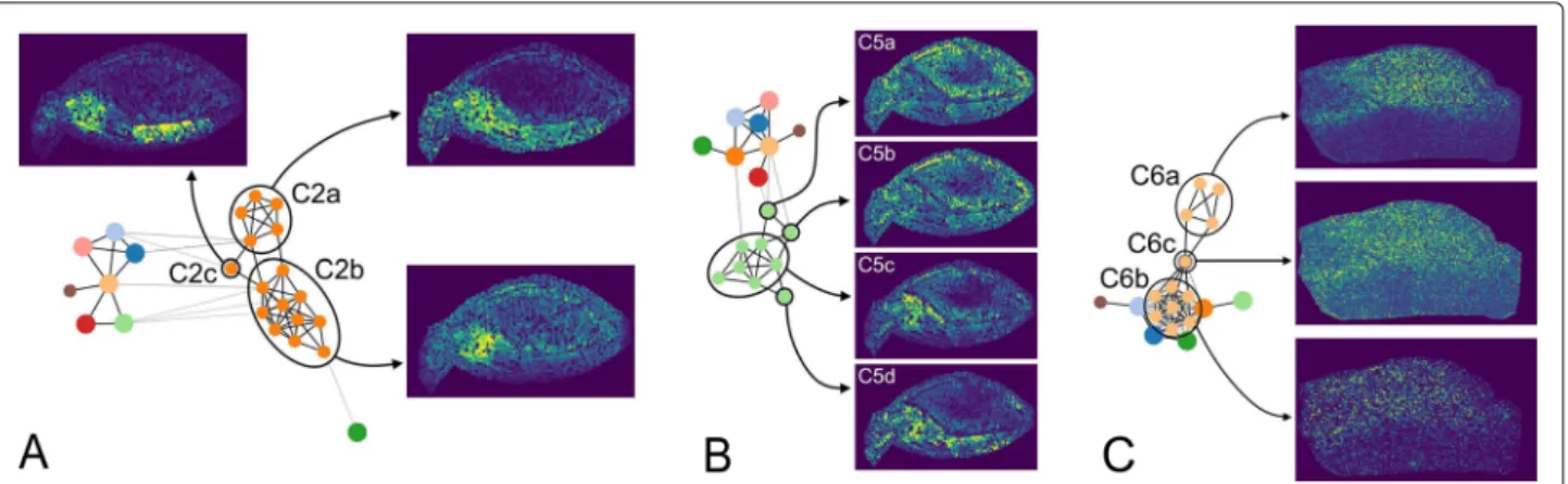 Fig. 6 a Substructures of D B in community C2. The whole graph of D B is shown with the corresponding community-node C2 unfolded