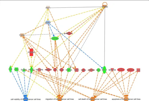 Fig. 1 Network generated by the IPA software on the basis of the gene array data. The following settings were used for IPA analysis: spe-cies = human; organ = mammary gland or breast cancer cell line; only experimental data were allowed