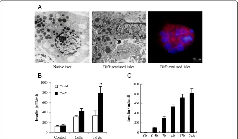 Figure 5 Long-term evaluation of glycemia in diabetic animals after transplantation with islets derived from human fetal pancreasprogenitor cells