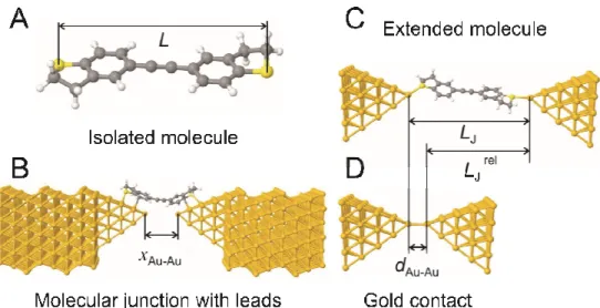 Figure 6. Schematic representation of the  “extended  molecule” of BT1 in contact  with conducting  leads