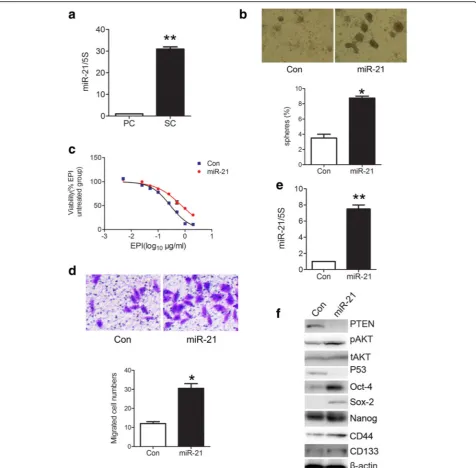 Fig. 3 miR-21 overexpression enhances stem cell-like properties of gastric cancer cells.(*overexpression promotes migration potential in SGC7901 cells