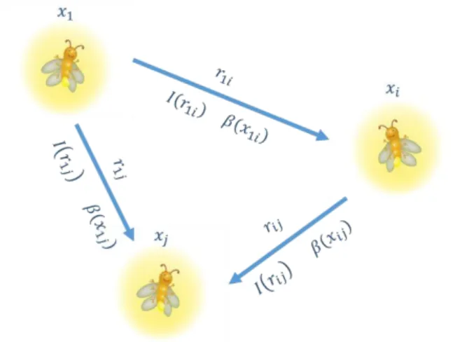 Figure 3. A conceptual view of the firefly algorithm relationships, including locations 