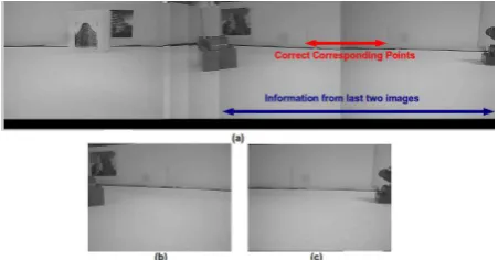 Figure 7: (a) Erroneous Stitching in Mosaic. (b) SecondLast Image for Mosaic. (c) Last Image for Mosaic.