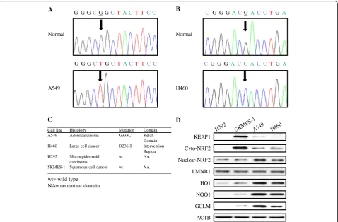 Fig. 1 Identification of KEAP1 mutations and basal expression levels of NRF2-regulated genes in NSCLC