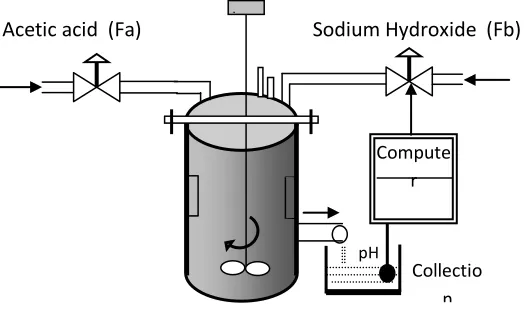 Fig. 1.  Neutralization Plant (CSTR) 