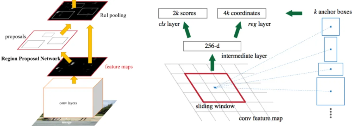 Figure 2.10: Faster R-CNN: Towards real-time object detection with region proposal networks [Ren et al., 2015]