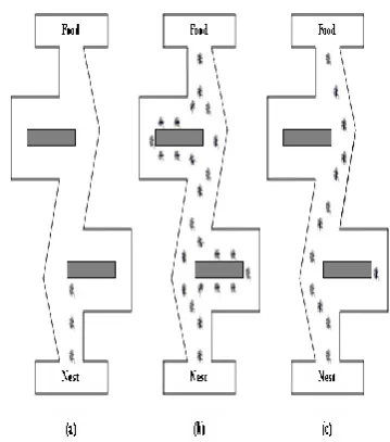 Figure 1: Cluster pattern of proposed algorithm 