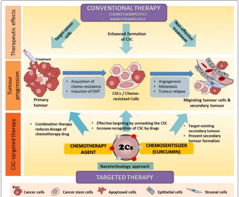 Fig. 4 Schematic diagram of the outlook of advanced therapy for targeting cancer and resistant CSC incorporating nanotechnology approaches to improve the formulation of curcumin and its analogues to achieve better therapeutic effects