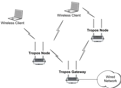 Figure 1  Basic Tropos Wireless Network