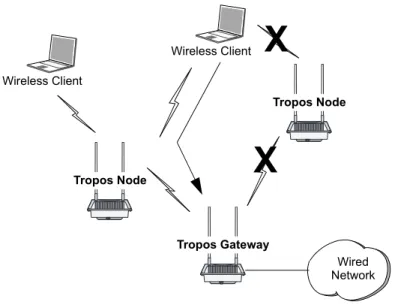 Figure 2  Typical Tropos Wireless Network