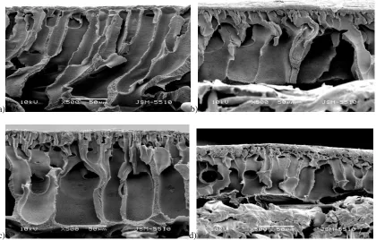 Fig. 3.SEM images of a cross-section of PAN membranes vacuum metallized for:   а)  0 sec., b) – 5 sec., c) – 15 sec., d) – 25 sec